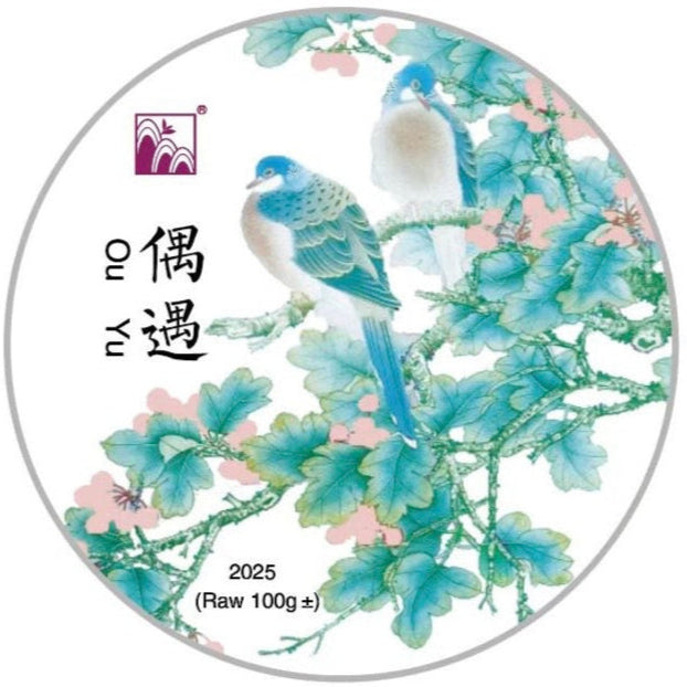 2025 偶遇 生普洱茶