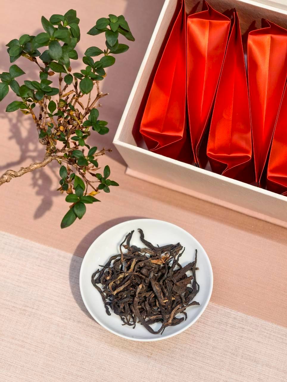 2024 古樹烘青紅茶