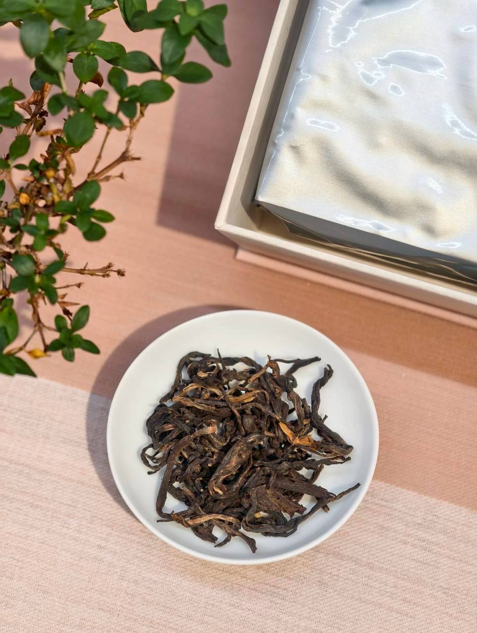 2024 古樹烘青紅茶