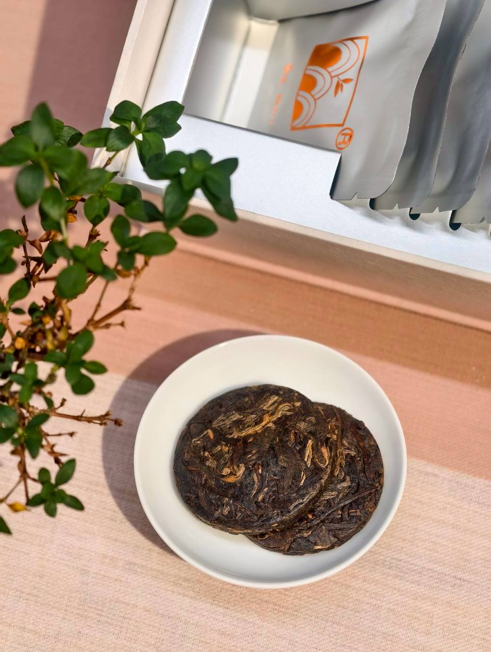 2024 古樹曬青紅茶