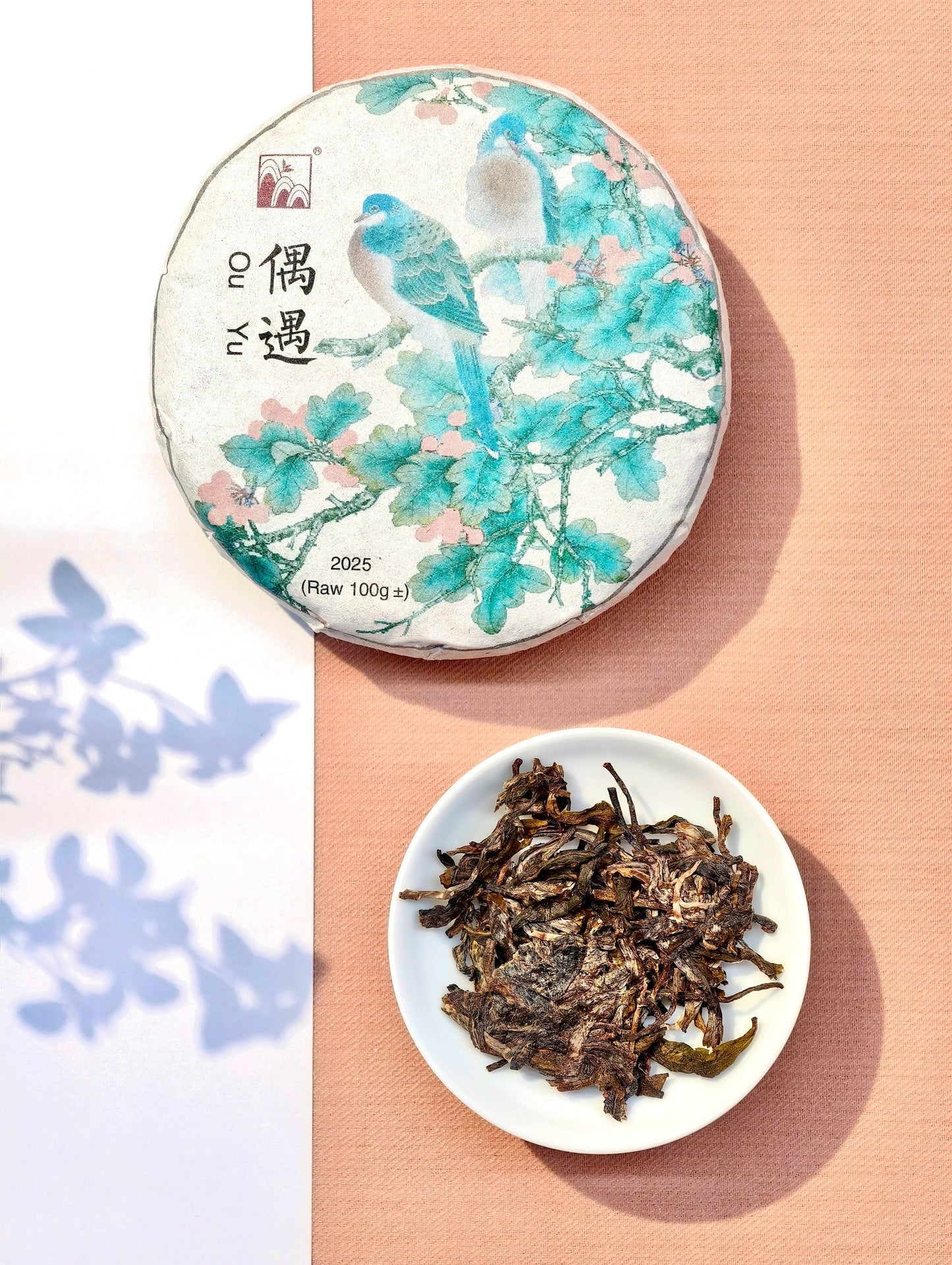 2025 偶遇 生普洱茶