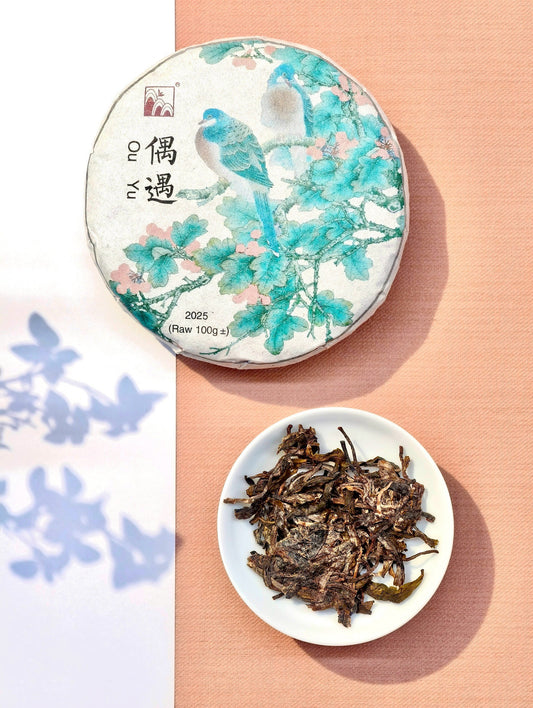 2025 偶遇 生普洱茶
