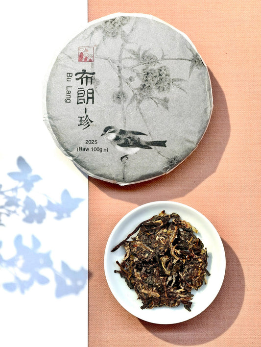 2025 布朗-珍 生普洱茶